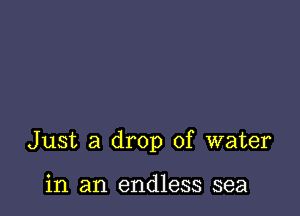 Just a drop of water

in an endless sea
