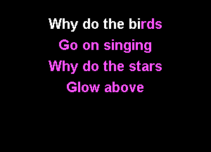 Why do the birds
Go on singing
Why do the stars

Glow above