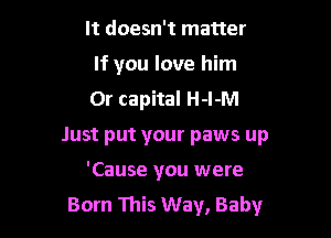 It doesn't matter
If you love him
Or capital H-l-M

Just put your paws up

'Cause you were
Born This Way, Baby