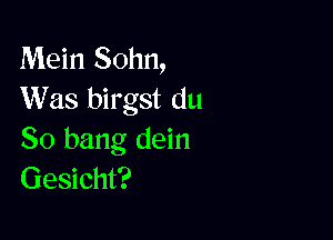 Mein Sohn,
Was birgst du

80 bang dein
Gesicht?