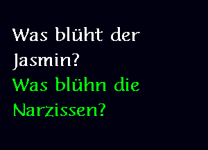 Was bluht der
Jasmin?

Was bluhn die
Narzissen?