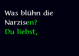 Was bluhn die
Narzisen?

Du liebst,