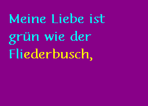 Meine Liebe ist
grim wie der

Fliederbusch,