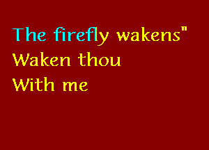 The firefly wakens
Waken thou

With me
