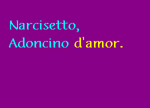 Narcisetto,
Adoncino d'amor.