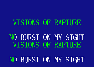 VISIONS 0F RAPTURE

N0 BURST ON MY SIGHT
VISIONS 0F RAPTURE

N0 BURST ON MY SIGHT