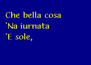 Che bella cosa
'Na iurnata

'E sole,