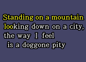 Standing on a mountain
looking down on a city,
the way I feel

is a doggone pity