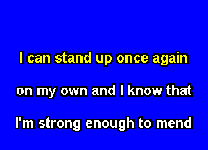 I can stand up once again

on my own and I know that

I'm strong enough to mend