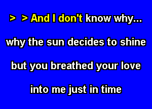 And I don't know why...
why the sun decides to shine
but you breathed your love

into me just in time