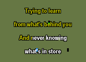 Trying to learn

from what's behind you

And never knowing

what's in store