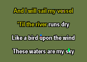 And I will sail my vessel
'Til the river runs dry

Like a bird upon the wind

These waters are my sky