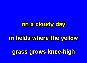 on a cloudy day

in fields where the yellow

grass grows knee-high