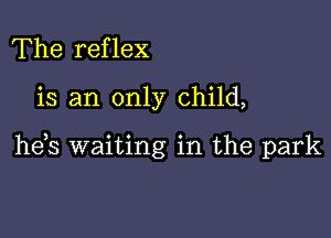 The reflex

is an only child,

he,s waiting in the park