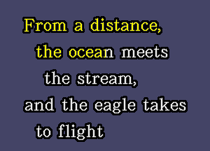 From a distance,
the ocean meets

the stream,

and the eagle takes
to flight