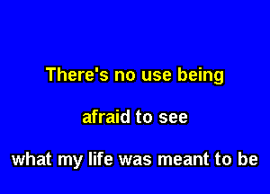 There's no use being

afraid to see

what my life was meant to be