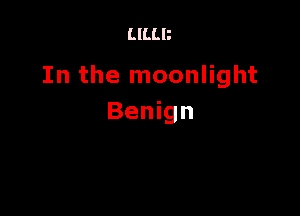 LILLB

In the moonlight

Benign