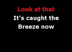 Look at that
It's caught the

Breeze now