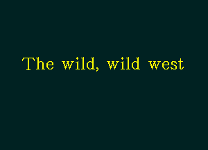 The wild, Wild west