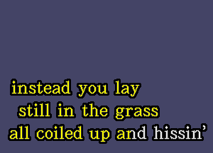 instead you lay
still in the grass
all coiled up and hissin,