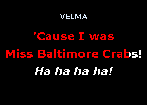 VELMA

'Cause I was

Miss Baltimore Crabs!
Ha ha ha ha!