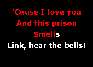 'Cause I love you
And this prison

Smells
Link, hear the bells!