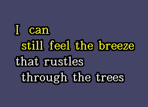 I can
still feel the breeze

that rustles
through the trees