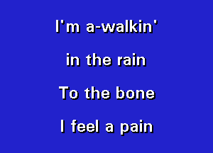 I'm a-walkin'
in the rain

T0 the bone

I feel a pain