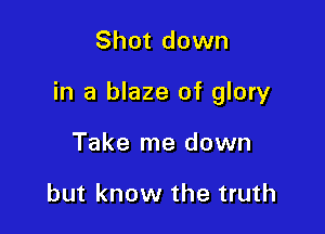 Shot down

in a blaze of glory

Take me down

but know the truth