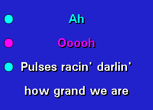 O Pulses racin' darlin'

how grand we are