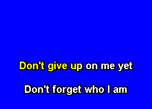 Don't give up on me yet

Don't forget who I am