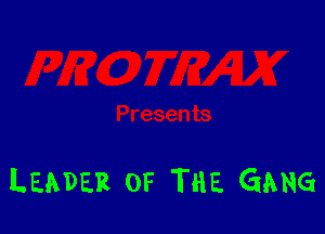 LEADER OF THE GANG