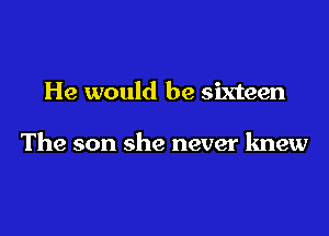 He would be sixteen

The son she never knew