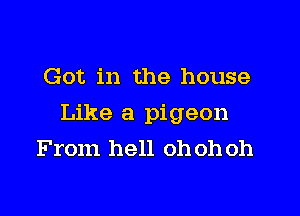 Got in the house

Like a pigeon
From hell oh oh oh