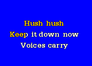 Hush hush
Keep it down now

Voic es carry