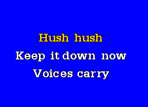 Hush hush
Keep it down now

Voic es carry