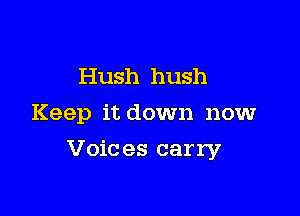 Hush hush
Keep it down now

Voic es carry