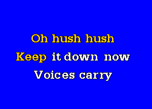 Oh hush hush
Keep it down now

Voic es carry