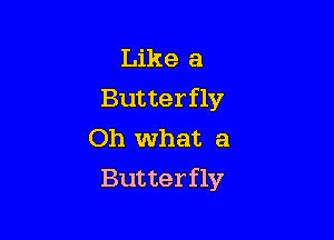 Like a
Butterfly

Oh what a
Butterfly