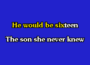 He would be sixteen

The son she never knew