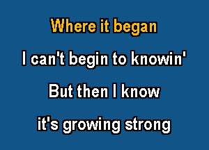 Where it began

I can't begin to knowin'

But then I know

it's growing strong