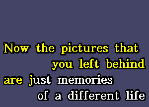 Now the pictures that
you left behind

are just memories
of a different life