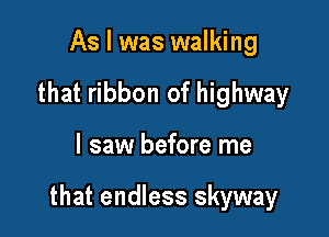 As I was walking
that ribbon of highway

I saw before me

that endless skyway