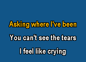 Asking where I've been

You can't see the tears

I feel like crying