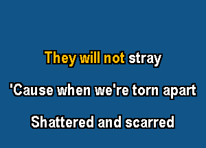 They will not stray

'Cause when we're torn apart

Shattered and scarred