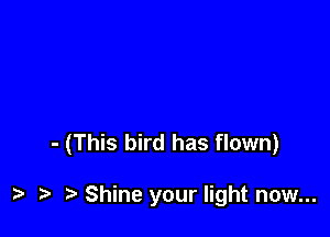 - (This bird has flown)

Shine your light now...