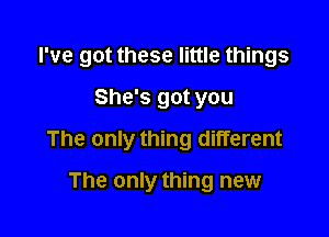 I've got these little things

She's got you
The only thing different
The only thing new
