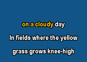 on a cloudy day

In fields where the yellow

grass grows knee-high
