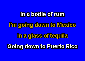 In a bottle of rum

I'm going down to Mexico

In a glass of tequila

Going down to Puerto Rico