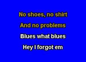 No shoes, no shirt
And no problems

Blues what blues

Hey I forgot em